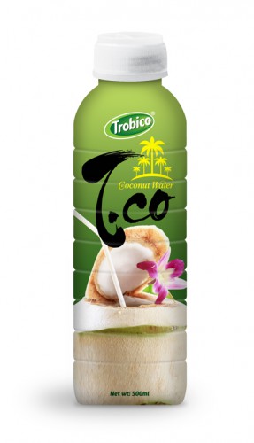 Coconut water 500ml bottle (2)
